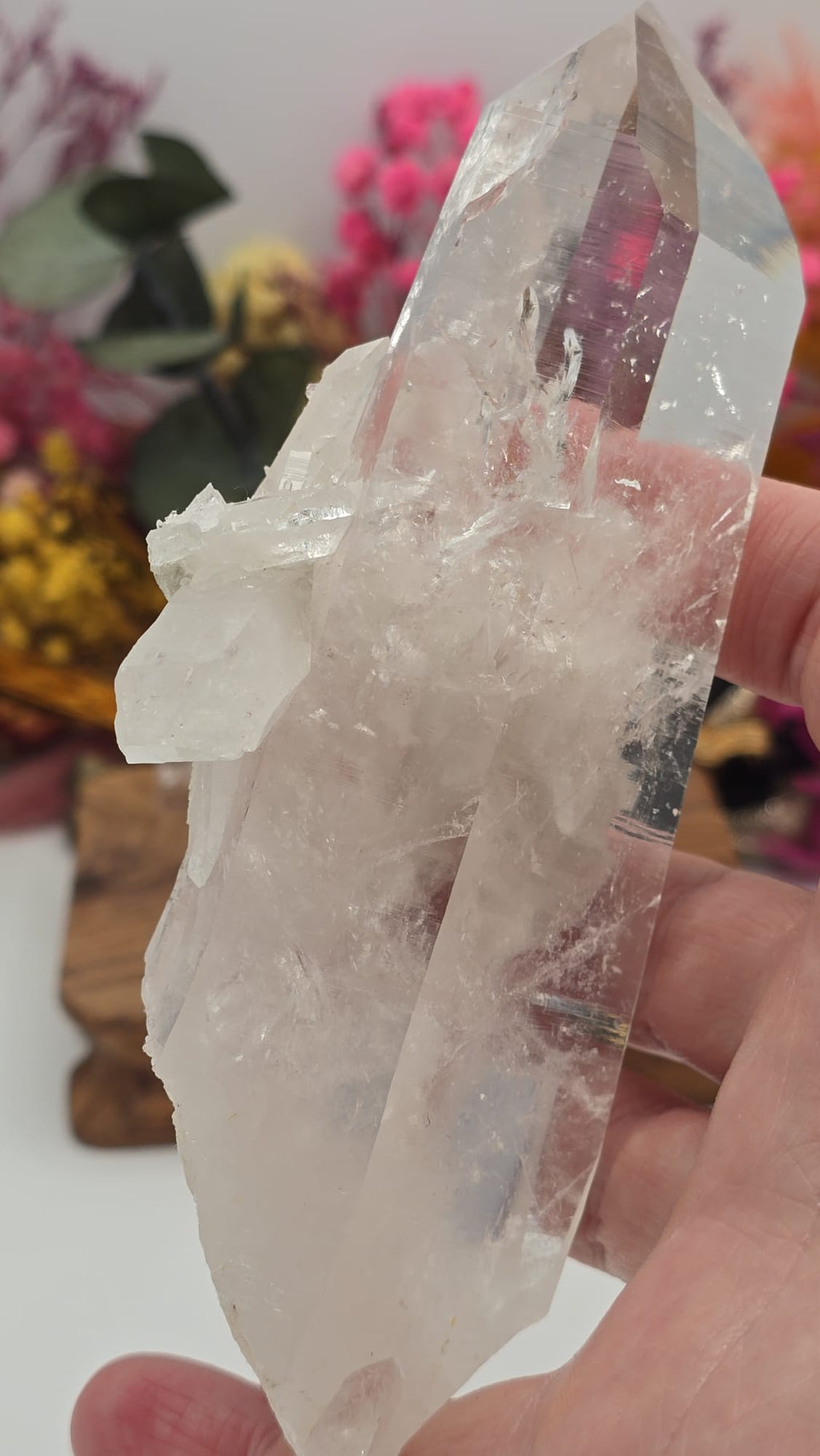 Lemurian ( Australian )