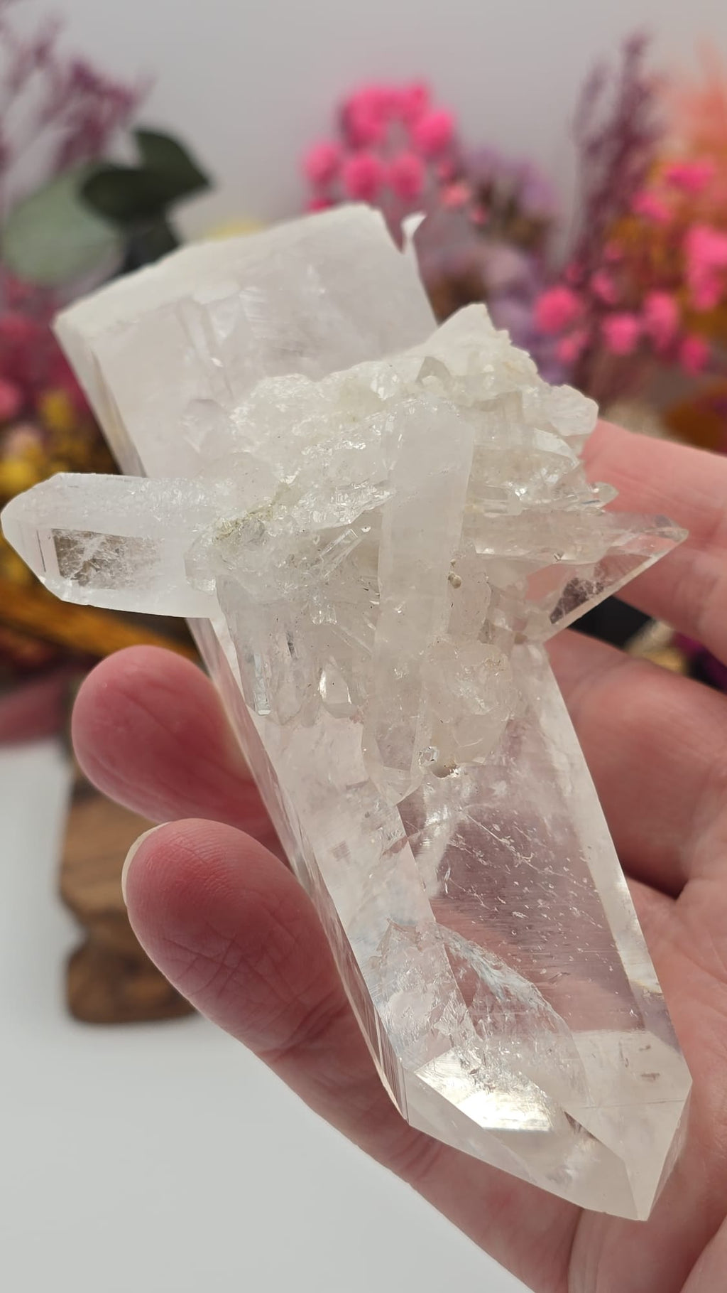 Lemurian ( Australian )