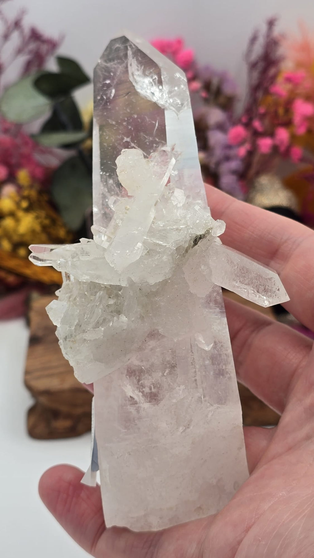 Lemurian ( Australian )