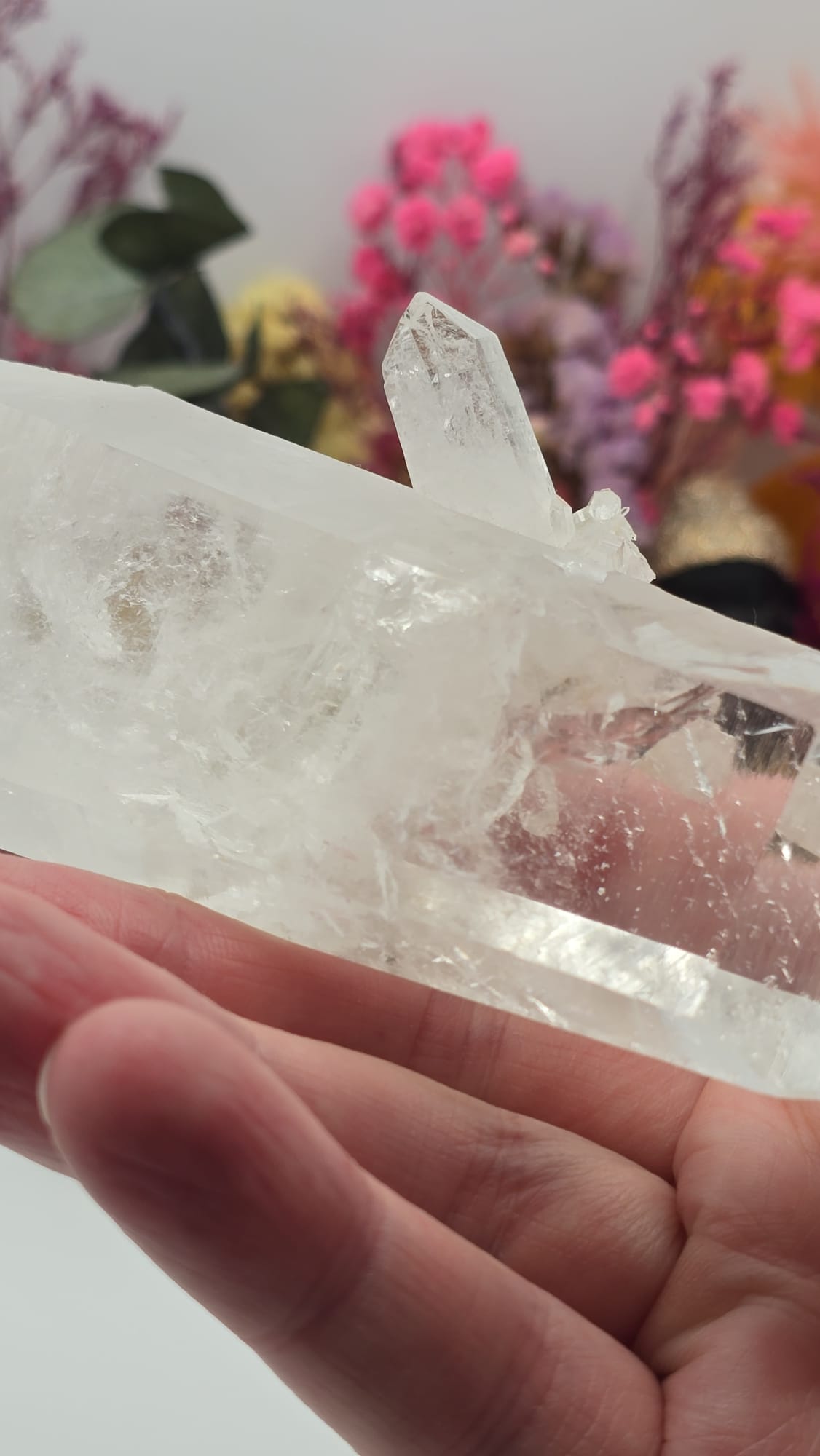 Lemurian ( Australian )