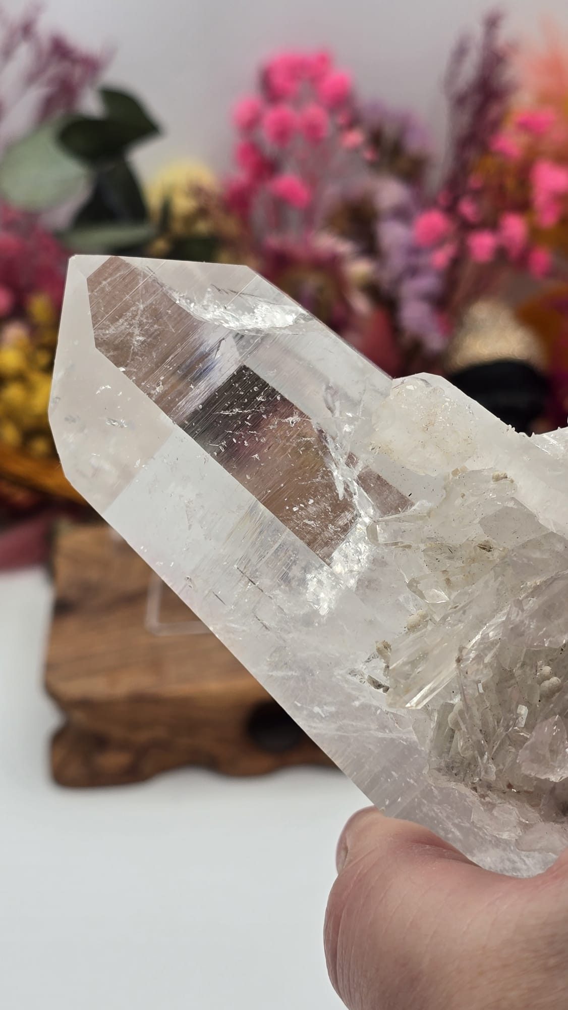Lemurian ( Australian )