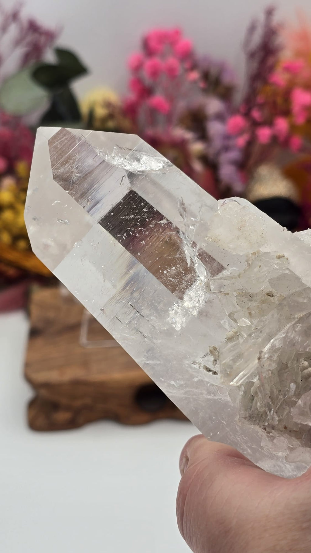 Lemurian ( Australian )