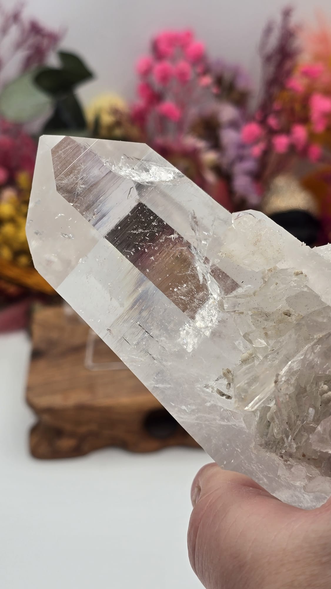 Lemurian ( Australian )
