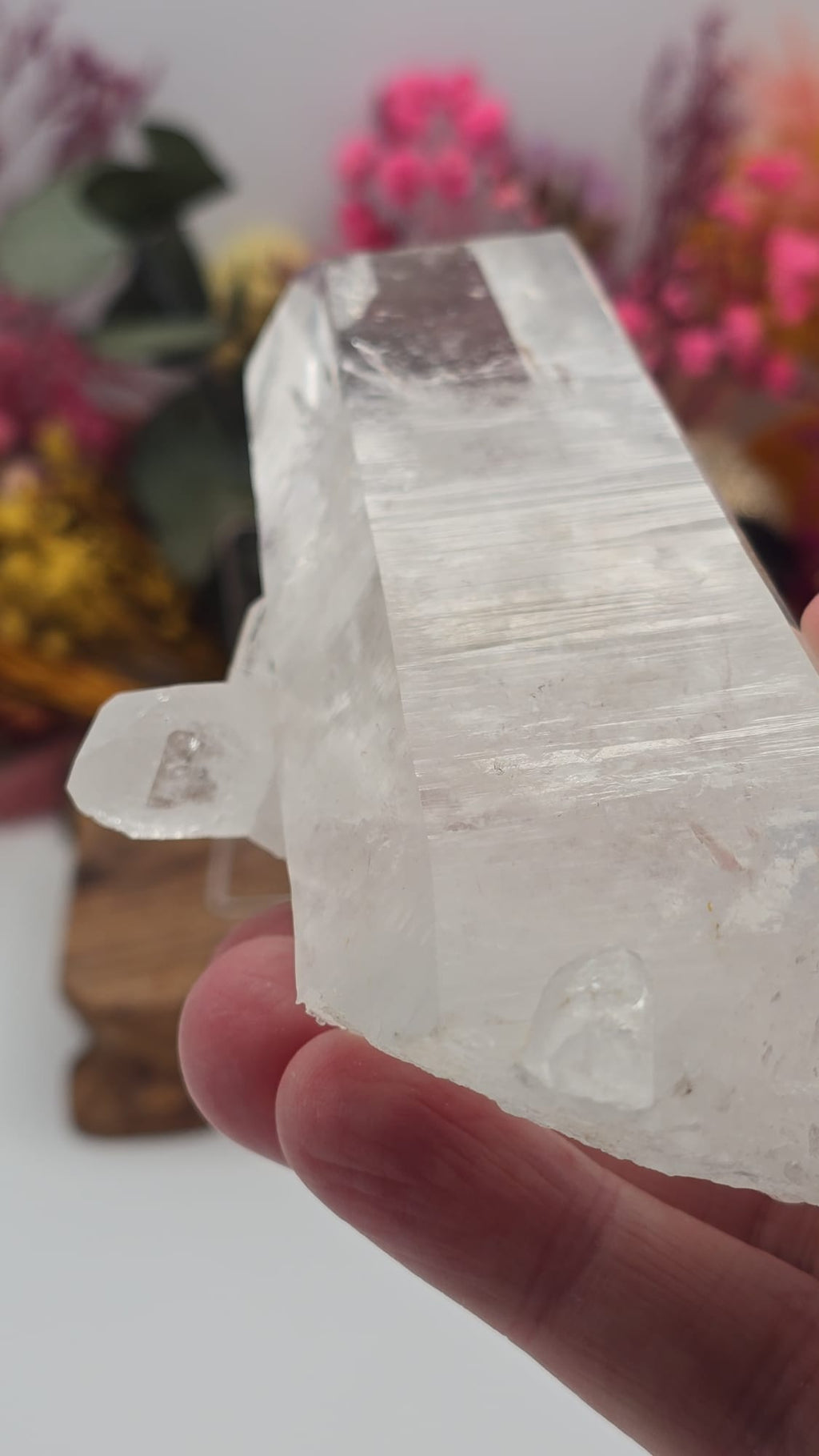 Lemurian ( Australian )