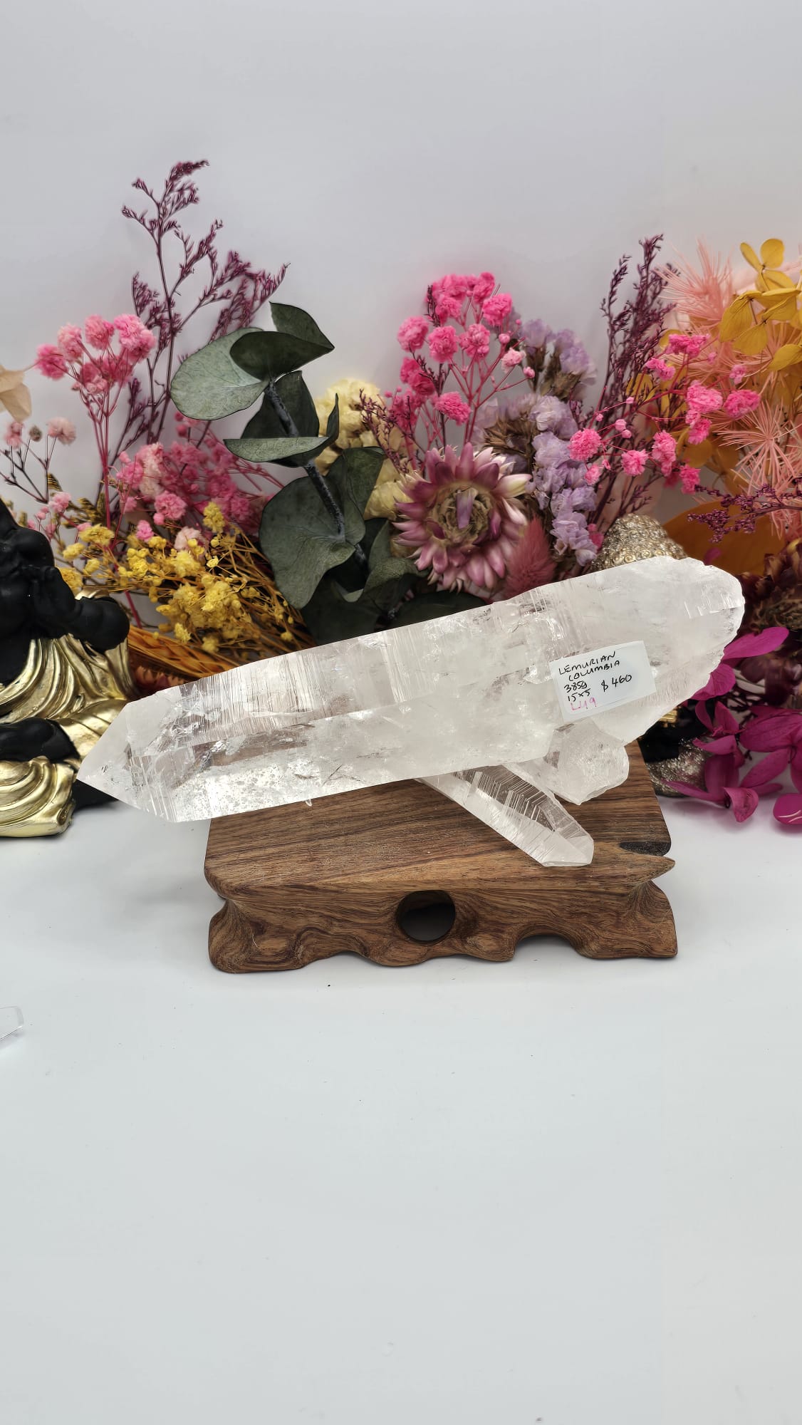 Lemurian ( Columbia)