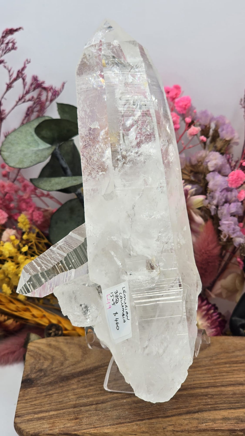 Lemurian ( Columbia)