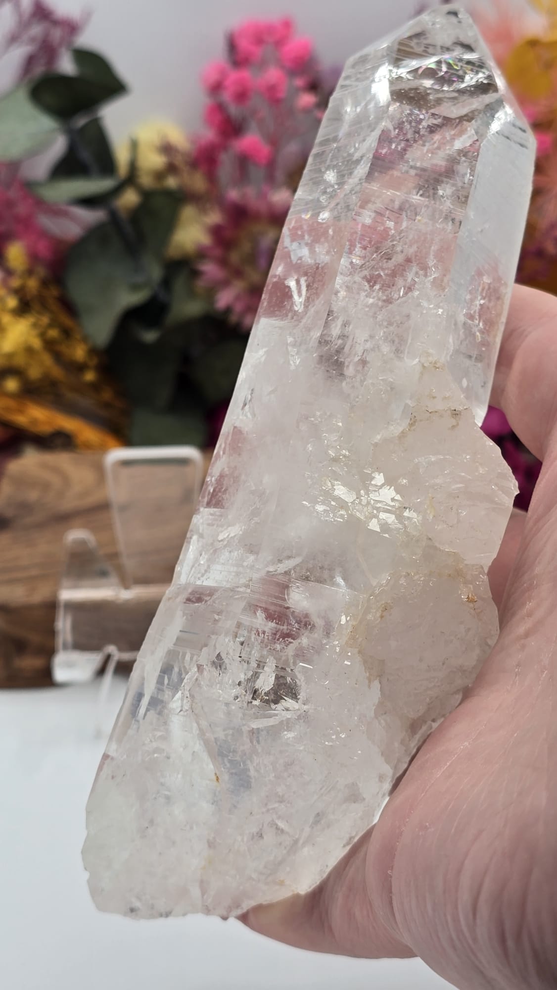 Lemurian ( Columbia)