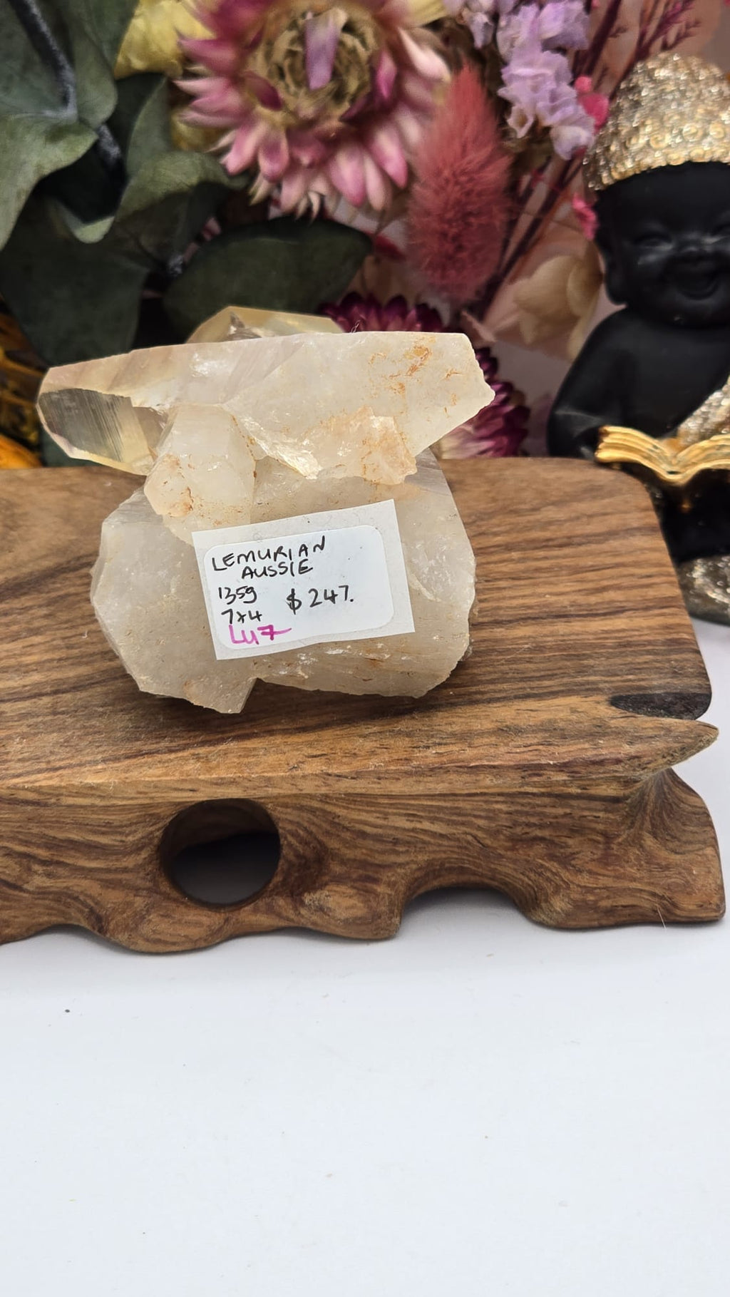 Lemurian ( Australian )
