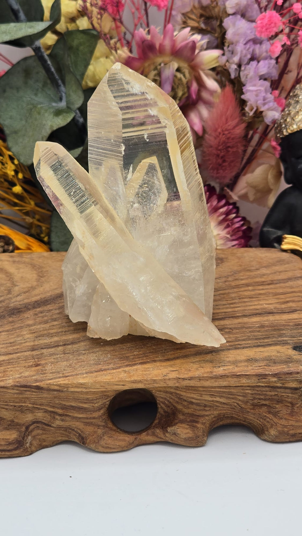 Lemurian ( Australian )
