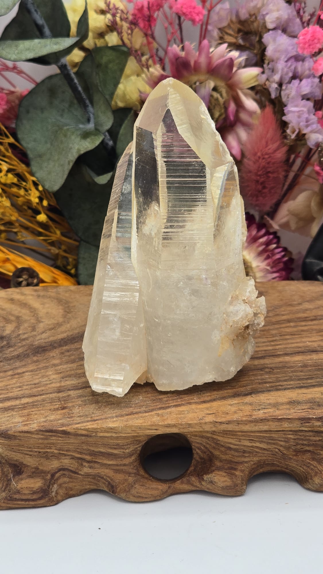 Lemurian ( Australian )
