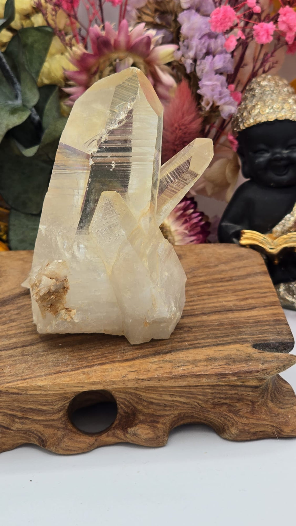 Lemurian ( Australian )