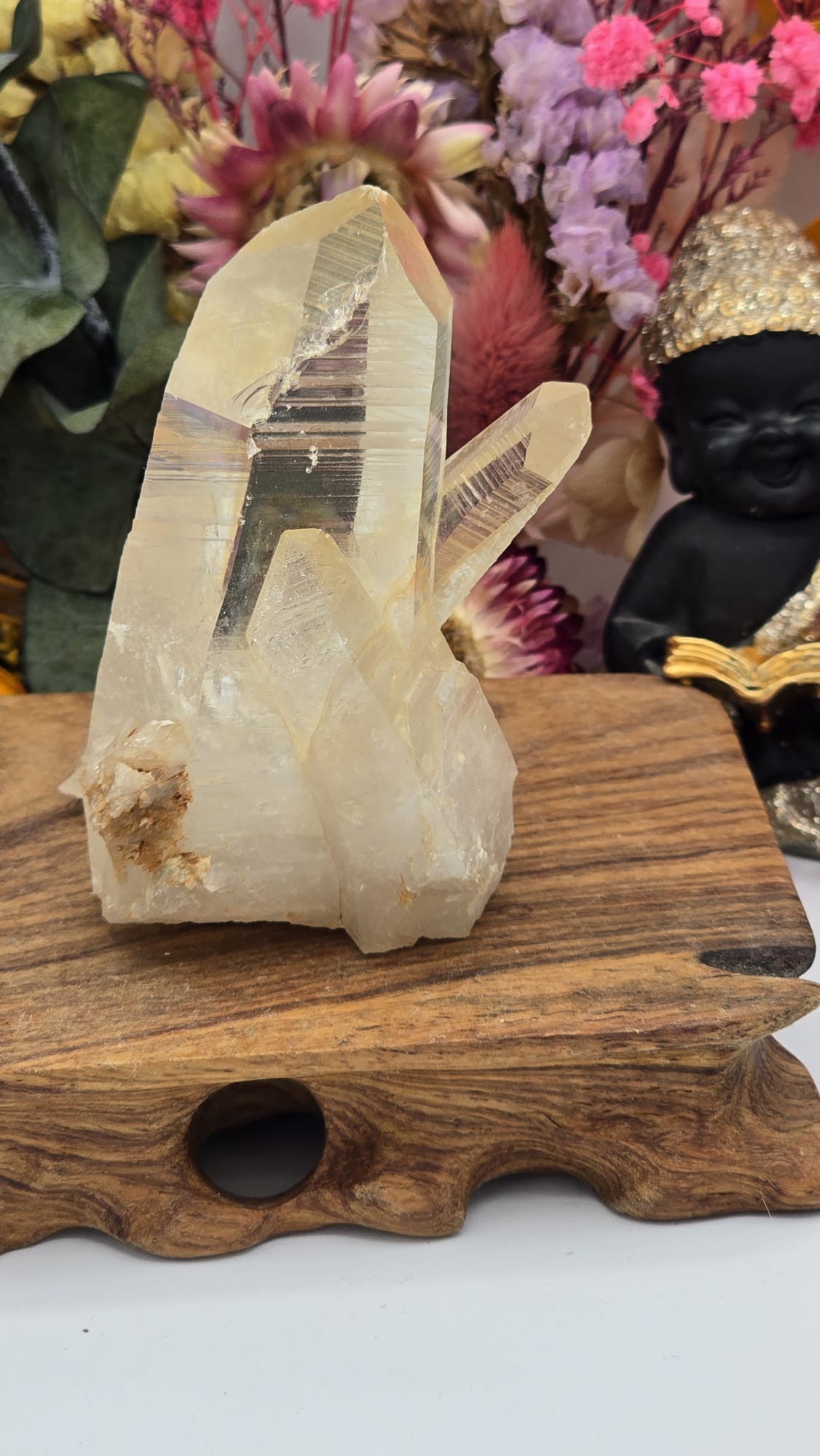 Lemurian ( Australian )