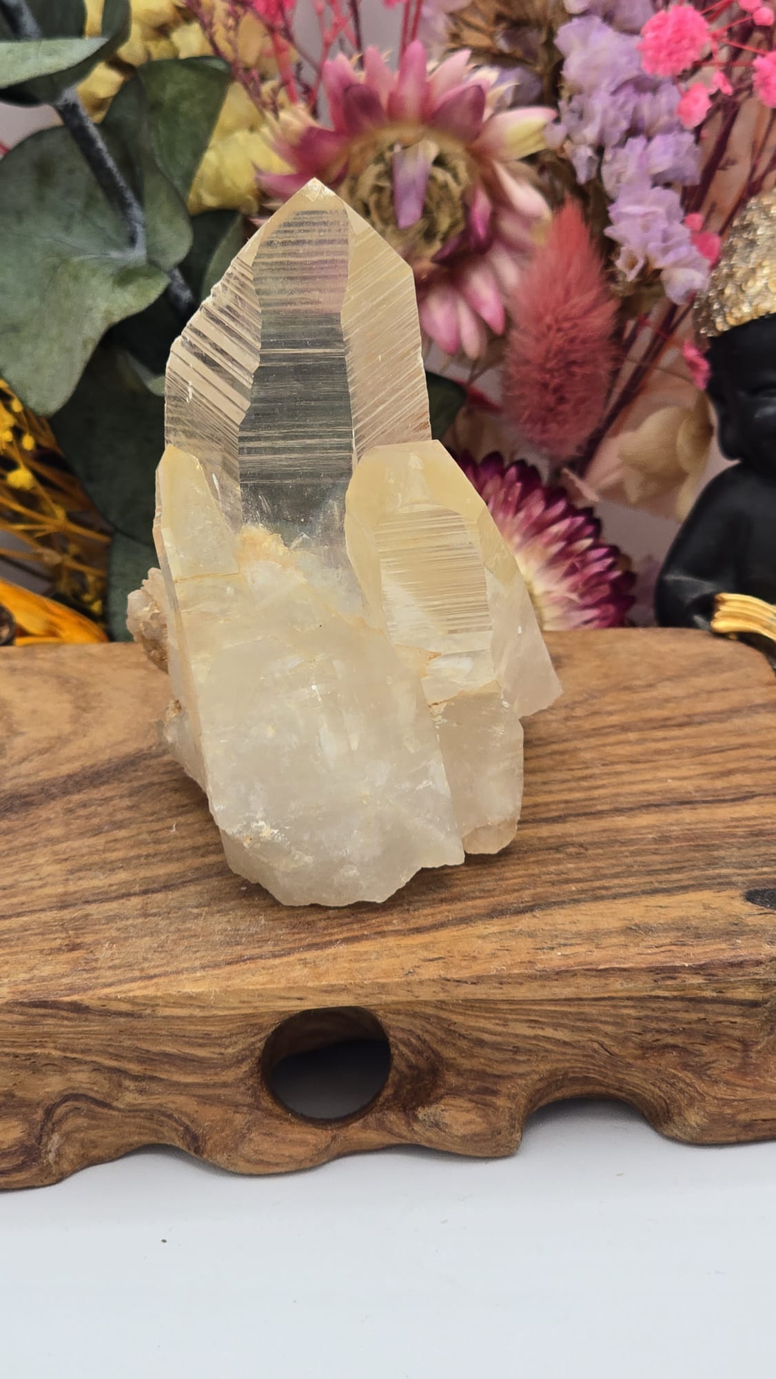 Lemurian ( Australian )