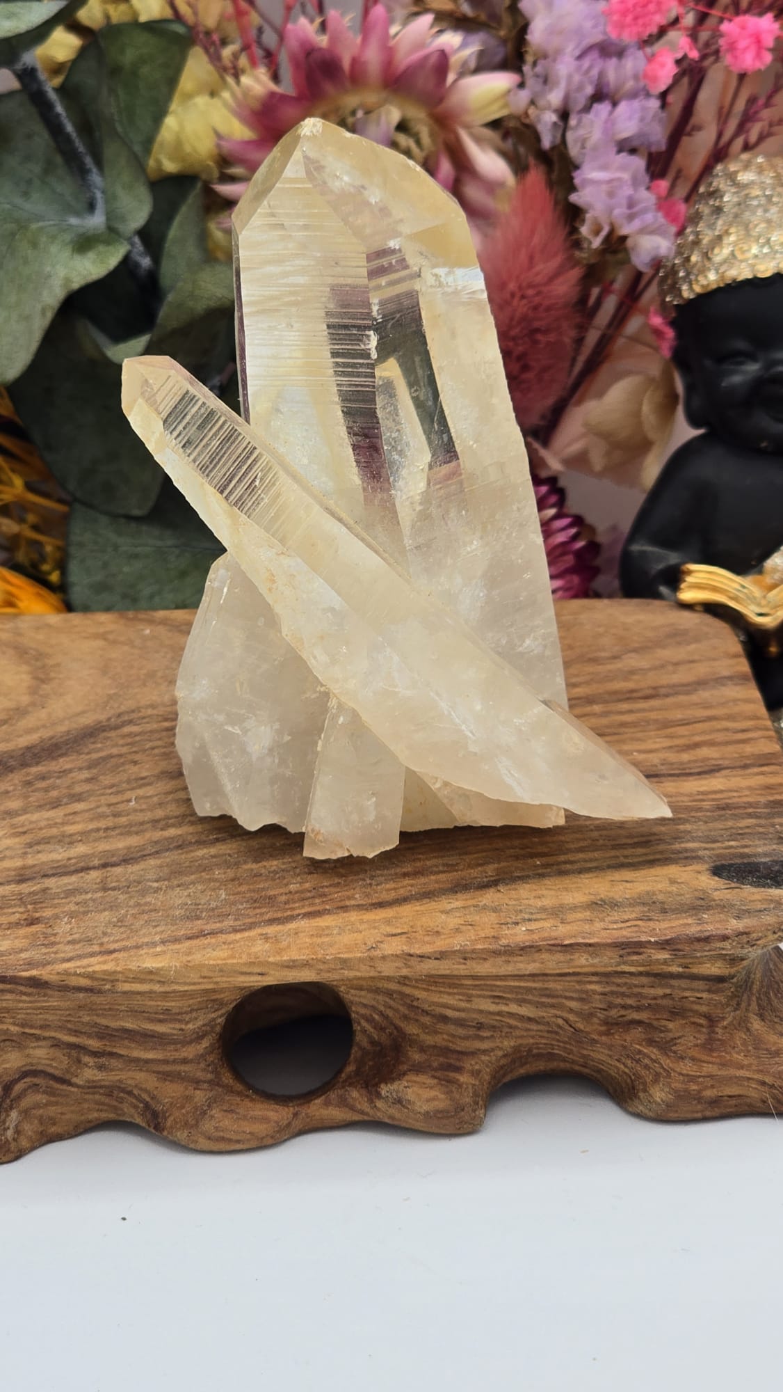 Lemurian ( Australian )