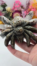 Moss Agate Spider