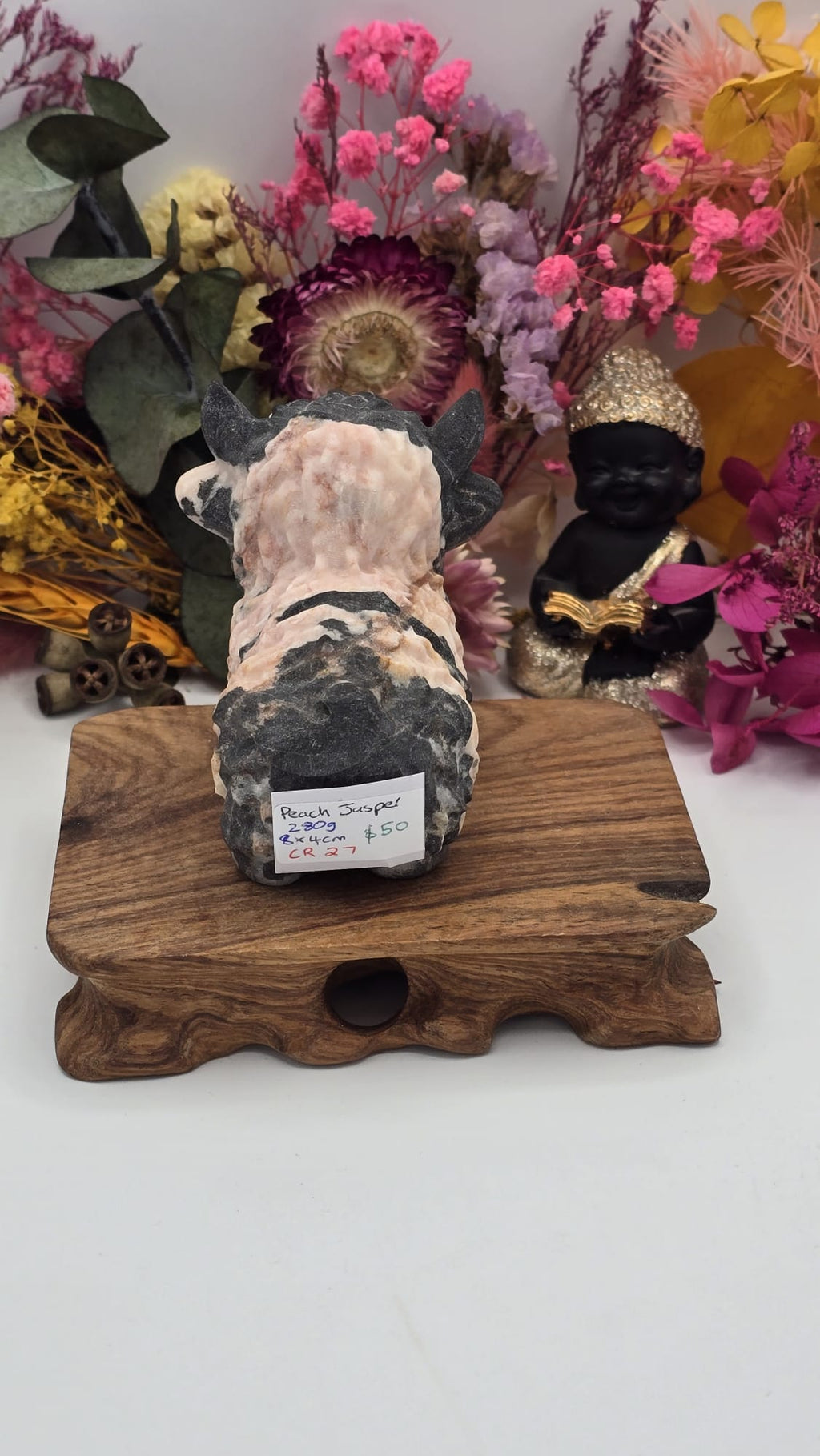 Jasper (Peach) Cow
