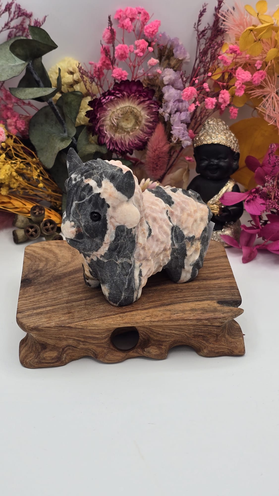 Jasper (Peach) Cow