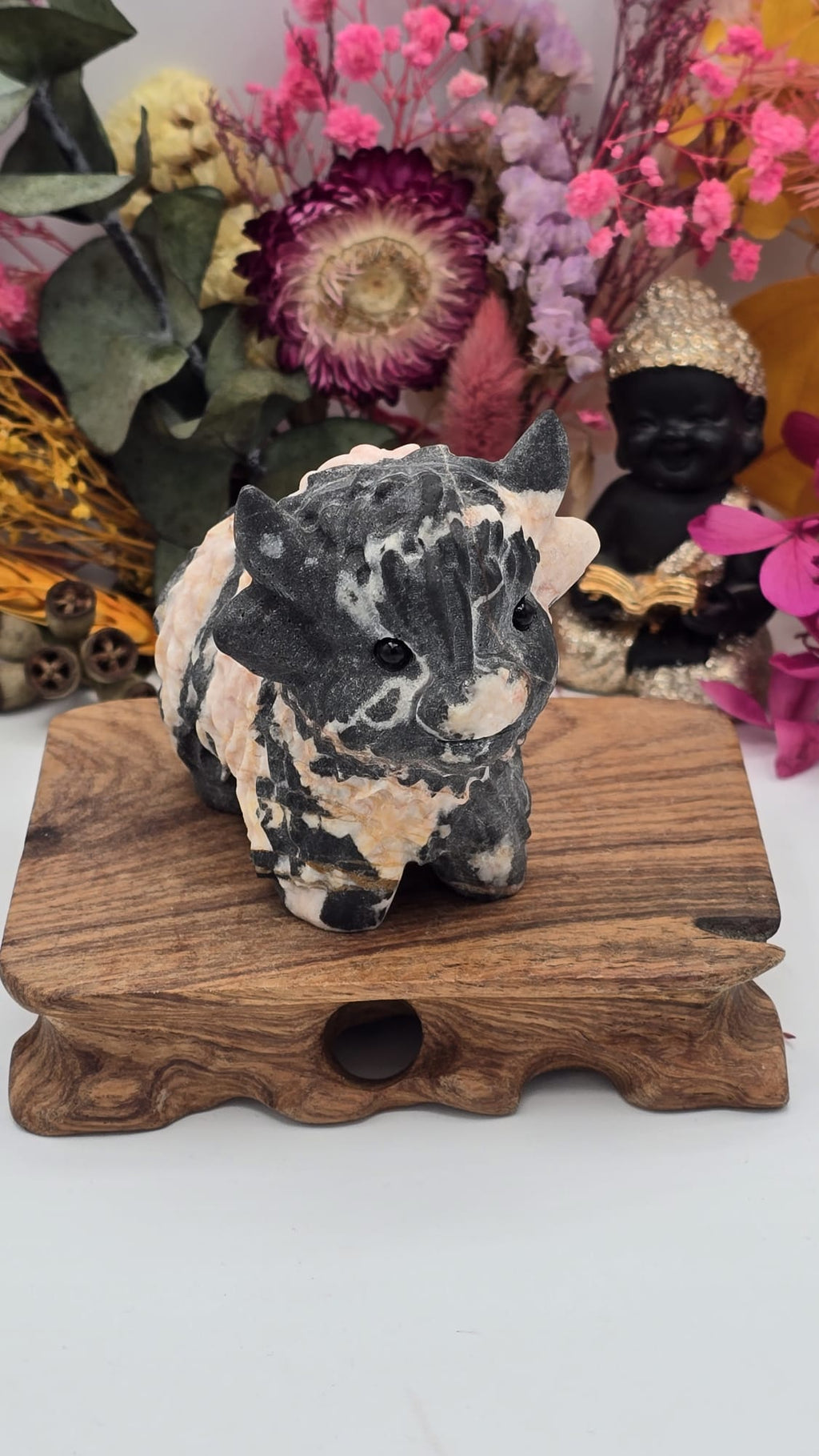 Jasper (Peach) Cow