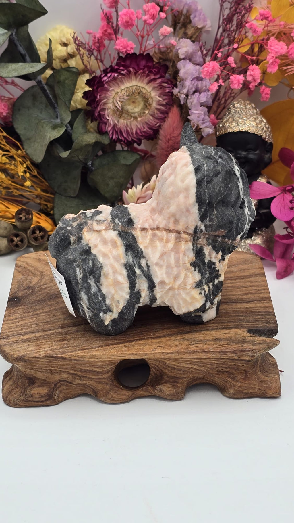 Jasper (Peach) Cow