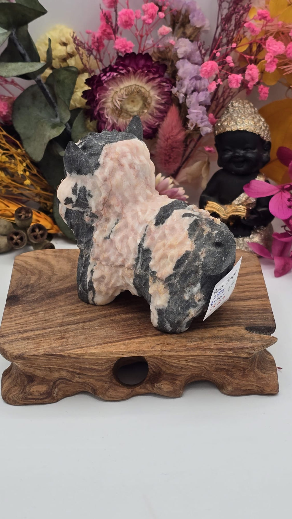 Jasper (Peach) Cow