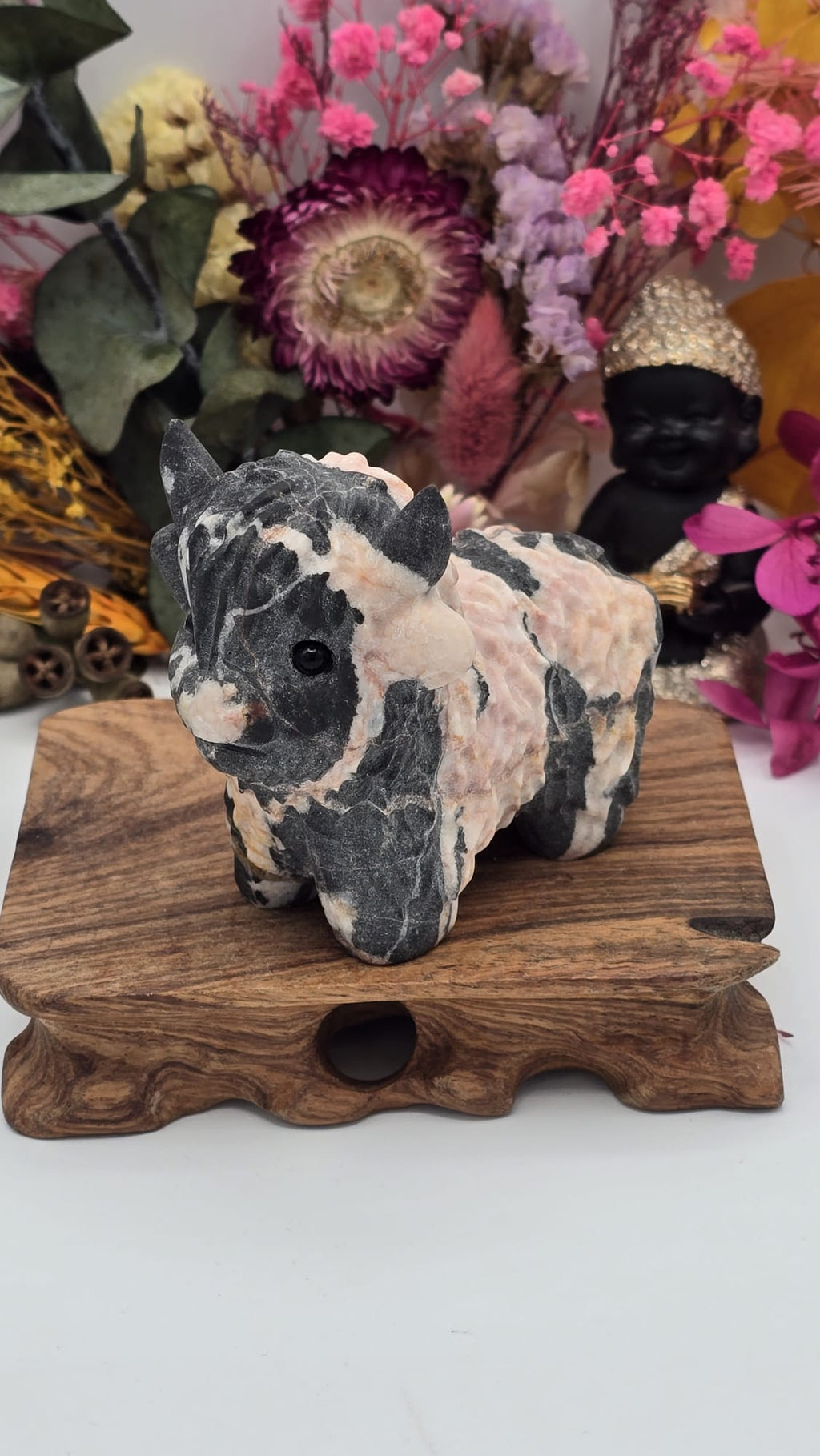 Jasper (Peach) Cow