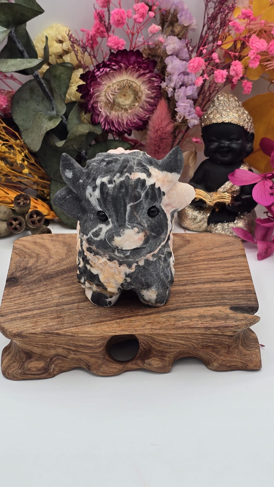 Jasper (Peach) Cow