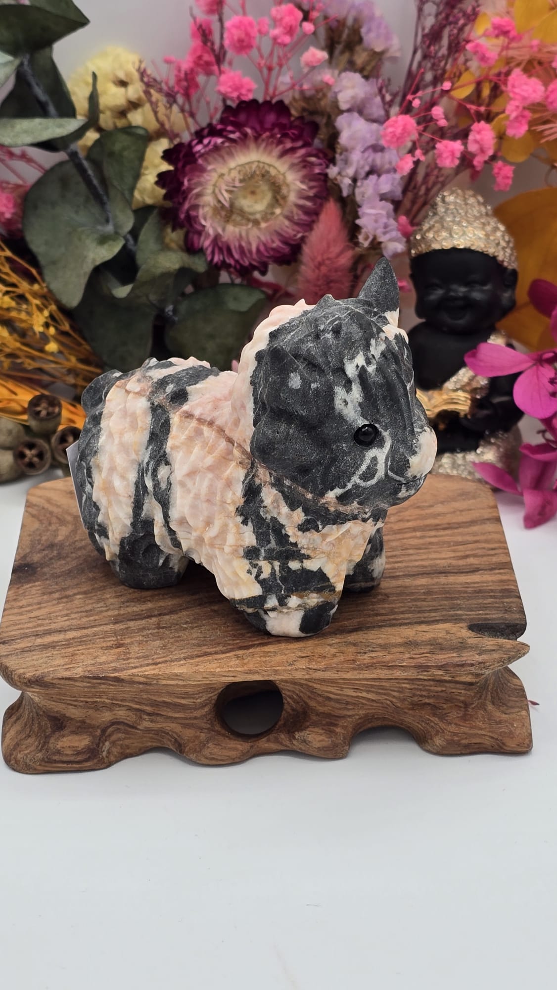 Jasper (Peach) Cow