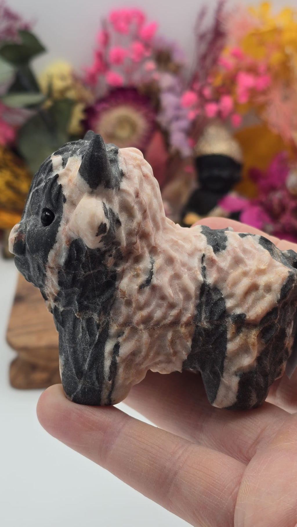 Jasper (Peach) Cow