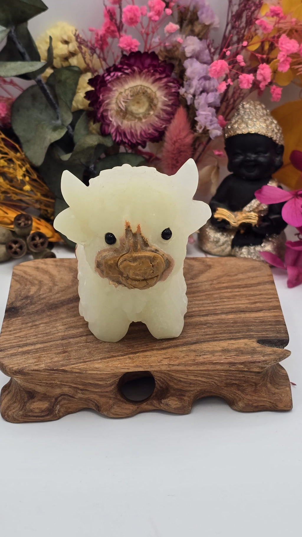 Onyx Cow
