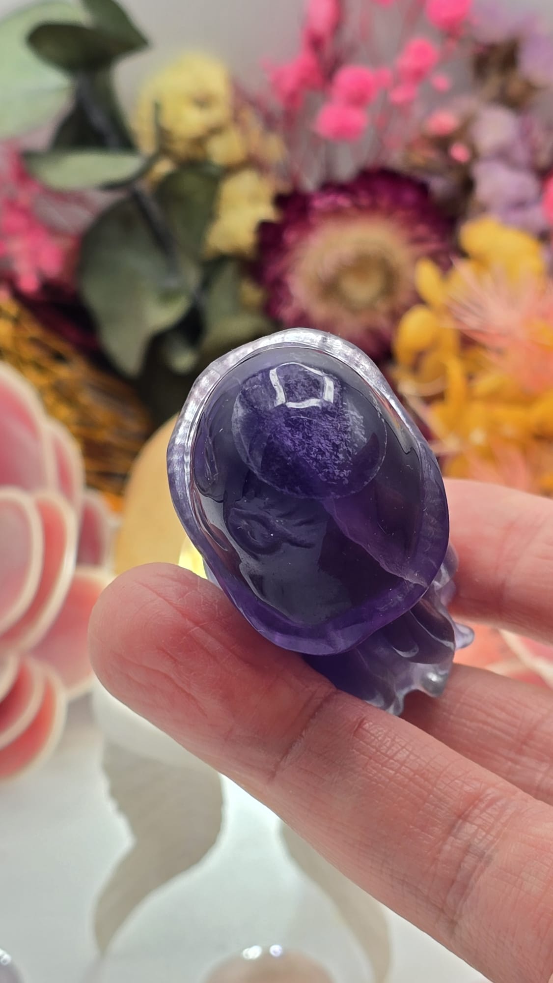 Fluorite Jelly Fish