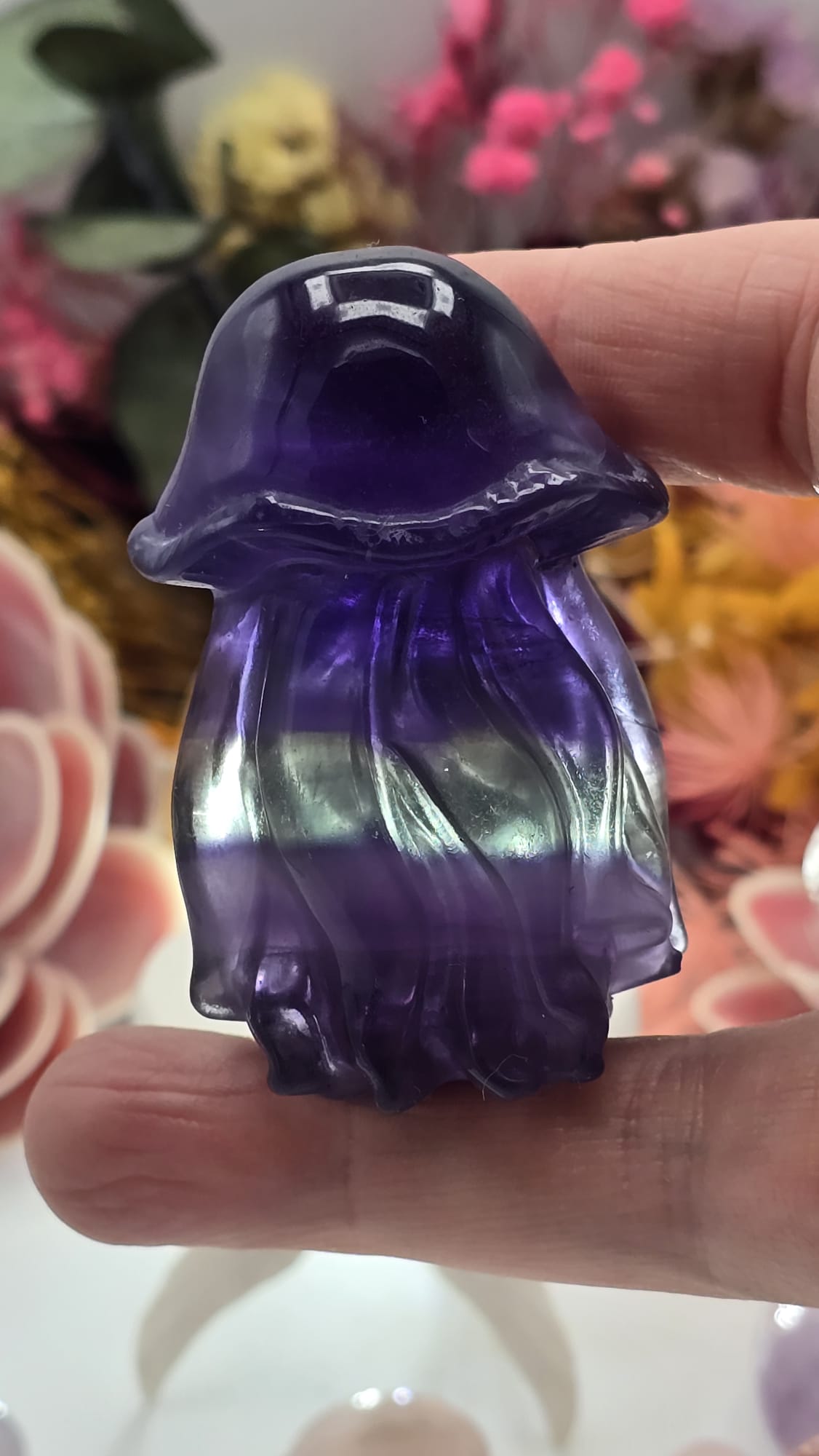 Fluorite Jelly Fish